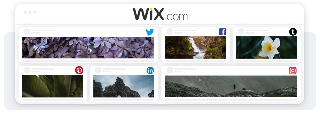 How to embed social media feed on Wix website