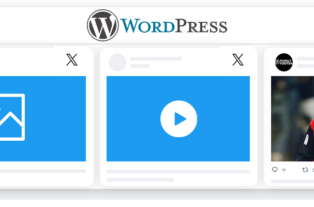 Easily Add X Twitter Feed To WordPress Full Guide