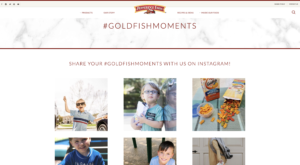 show Instagram feed on website example 3